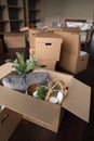 Vertical view stuffed with belongings cardboard boxes stacked on floor