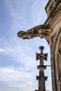 vertical view to the grotesque gargoyle at the gothic tower a part of the cathedral in city Ulm,