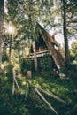 A triangle dacha house, birches