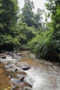 Vertical view of a tributary river water flows between the rocks Royalty Free Stock Photo