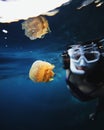 Vertical view of an underwater jellyfish and next to a woman with a snorkel mask