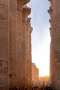 Vertical view of unrecognizable group of tourists walking along the columns of karnak temple in the golden hour in Luxor
