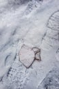 A vertical view of a used respirator lying on snowy ground.