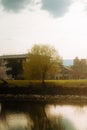 Vertical view of waterside plants and buildings under the bright sky at sunrise