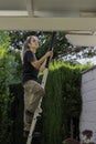 Vertical view of young woman working with security clothe on a ladder looking up with backlight in the garden Royalty Free Stock Photo