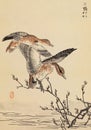 Vertical vintage Japanese plate of Kono Bairei One Hundred Birds