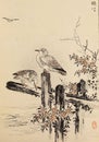 Vertical vintage Japanese plate of Kono Bairei One Hundred Birds