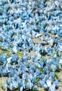 Vertical vivid butterflies flashmob bokeh