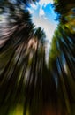 Vertical vivid radial zoom Royalty Free Stock Photo