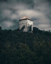 Vertical of the Vrsac Castle above green treetops in Serbia shot in monochrome colors