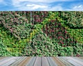 Vertical wall garden