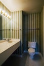 Vertical Wallpaper in Clean Bathroom with Toilet - Closed Hotel
