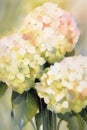 Vertical watercolor painting of hydrangea flowers. Floral printable wall art, botanical decor