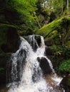 Vertical of a waterfall flowing through mossy rocks in a forest in Bad Kreuzen, Austria