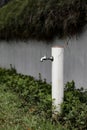 Vertical of a weathered metallic outdoor water tap in the street