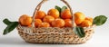 Basket of Clementine Mandarin Oranges on Table Royalty Free Stock Photo