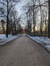 In this vertical winter panorama, a wide path gracefully winds through the city park