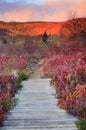 Walkway Through Graveyard Fields in North Carolina