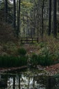 Vertical of a wooden bridge in Aldridge Gardens in Hoover, Alabama Royalty Free Stock Photo