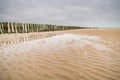 Vertical wooden planks in the sand of an unfinished wooden dock at the beach in the Netherlands