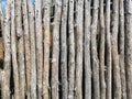 Vertical wooden sticks abstract background