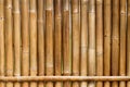 Vertical yellow bamboo fence