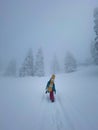 VERTICAL: Young female snowboarder hikes up a hill covered in fresh powder snow.