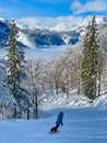 VERTICAL: Young woman snowboards along ski resort slope leading through a forest