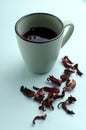 Verticl image.Blue cup of hibiscus tea and dried petals on the bright blue background Royalty Free Stock Photo