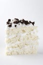 Verticl image.Piece of delicious biscuit cake with cookie crumbs on the white background