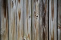 Verticle Wooden fence Royalty Free Stock Photo
