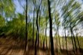 Vertigo zoom effect in forest Royalty Free Stock Photo