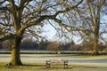 Verulamium Park in St. Albans Royalty Free Stock Photo