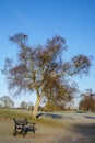 Verulamium Park in St. Albans Royalty Free Stock Photo