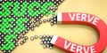 Verve attracts success - pictured as word Verve on a magnet to symbolize that Verve can cause or contribute to achieving success Royalty Free Stock Photo