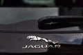 Jaguar luxury car logo in verviers belgium