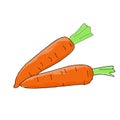 very adorable carrot pictures