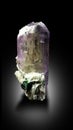 very amazing kunzite var spodumene crystal with tourmaline specimen from afghanistan Royalty Free Stock Photo