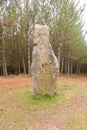 Very ancient menhir with inscriptions