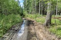 Very bad dirt road in the forest with puddles and mud Royalty Free Stock Photo