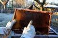 Very bad winter, a lot of hives this winter and died. frozen honeycombs and hives covered with hoarfrost. The beehives in the gard