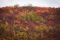 A very beautiful autumn landscape with a mountain that has different trees growing on it with different colored leaves. Royalty Free Stock Photo