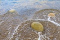 Very beautiful background or backdrop of huge pebbles on the resort beach, selective focus with copy space