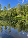 very beautiful bank of the Berezina river in summer