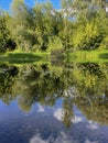 very beautiful bank of the Berezina river in summer