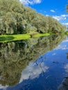 very beautiful bank of the Berezina river in summer