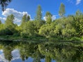 very beautiful bank of the Berezina river in summer