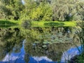 very beautiful bank of the Berezina river in summer