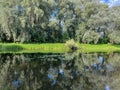 very beautiful bank of the Berezina river in summer