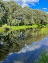 very beautiful bank of the Berezina river in summer